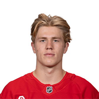 Michael Brandsegg-Nygard